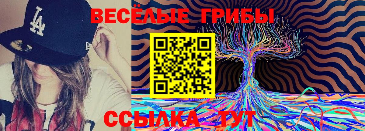 Донецк  цены   Вход с VPN  Галлюциногенные грибы GOLDEN TEACHER 