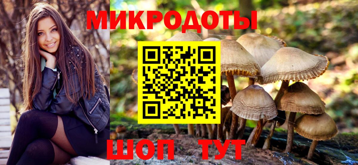 Галлюциногенные грибы Psilocybine cubensis Донецк